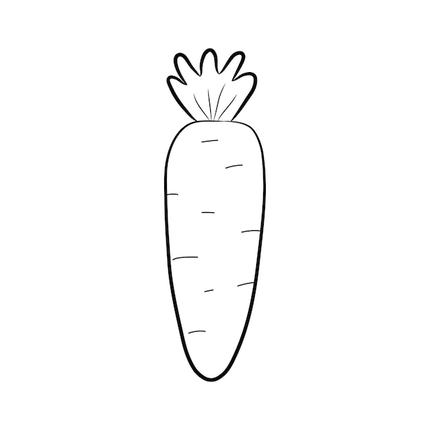 Eenvoudige wortel geïsoleerd op een witte achtergrond in doodle style