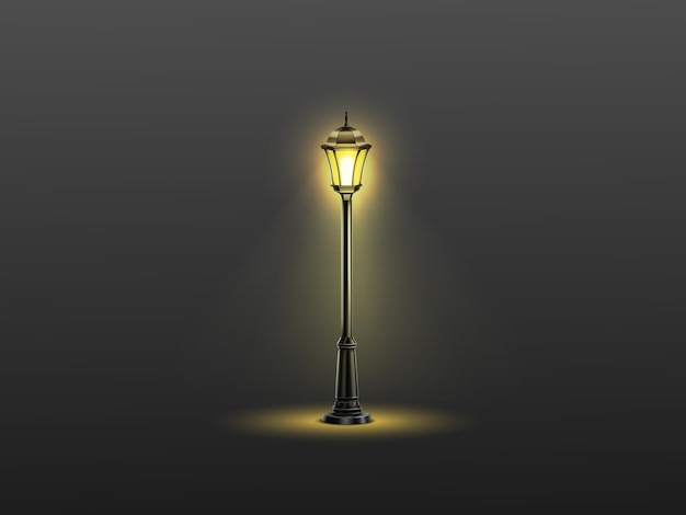 Eenzaam licht bij de ingang van het park op de snelweg verlicht op een koude mistige nacht