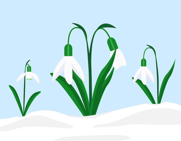 Vector eerste lente bloemen sneeuwklokjes vector illustratie