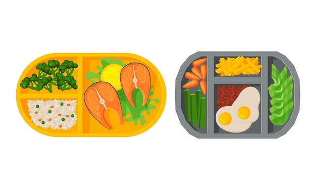 Eetbak met vers smakelijk voedsel in een ander gedeelte boven View Vector Set
