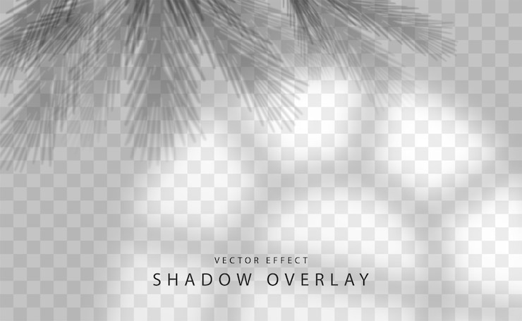 Vector the effect of applying a transparent shadow from an arched window and christmas tree branches