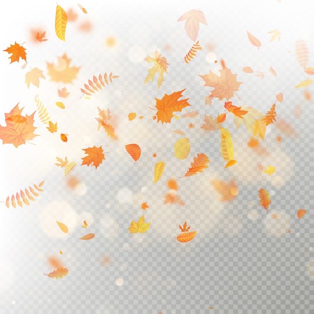 Vector effect of autumn falling leaves layer with  blur. autumnal foliage fall template. warm color.