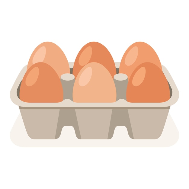 Egg box with six eggs