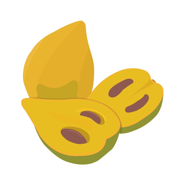 Egg fruit Fruit Vector flat design graphic 2d HD