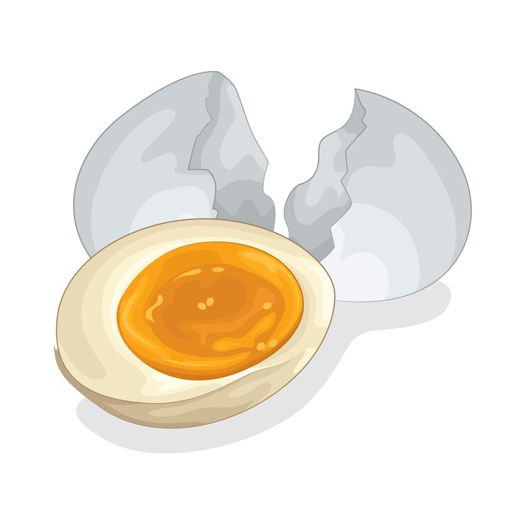 Vector 卵のイラスト