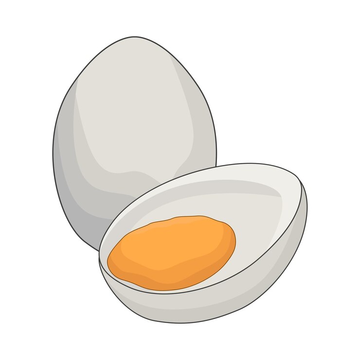 Vector 卵のイラスト