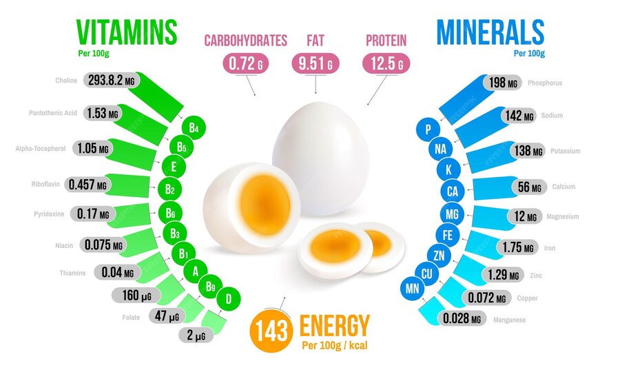 Premium Vector Egg Nutrients Infographics Diagram premium-vector-egg-nutrients-infographics-diagram