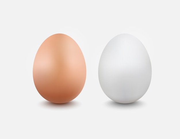 Egg on a white background