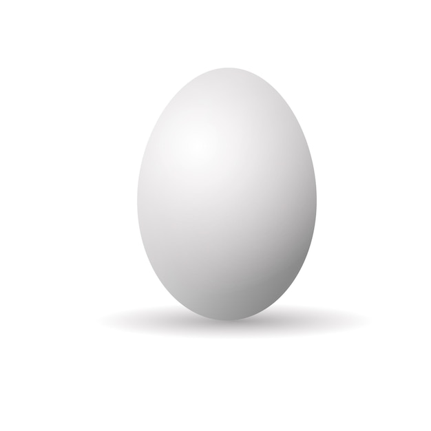 Egg on a white background