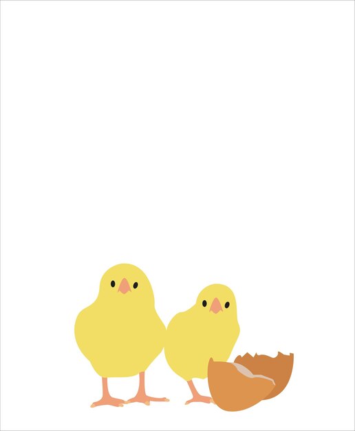 Vector egg and yellow cute chick