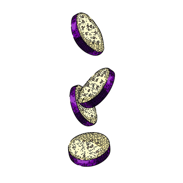 Eggplant cut slice aubergine sketch hand drawn vector