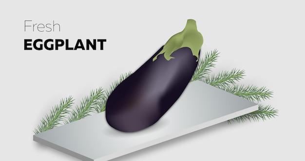 Vector eggplant fresh organic vegetable