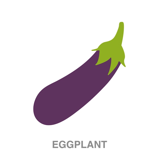 Eggplant illustration on transparent background