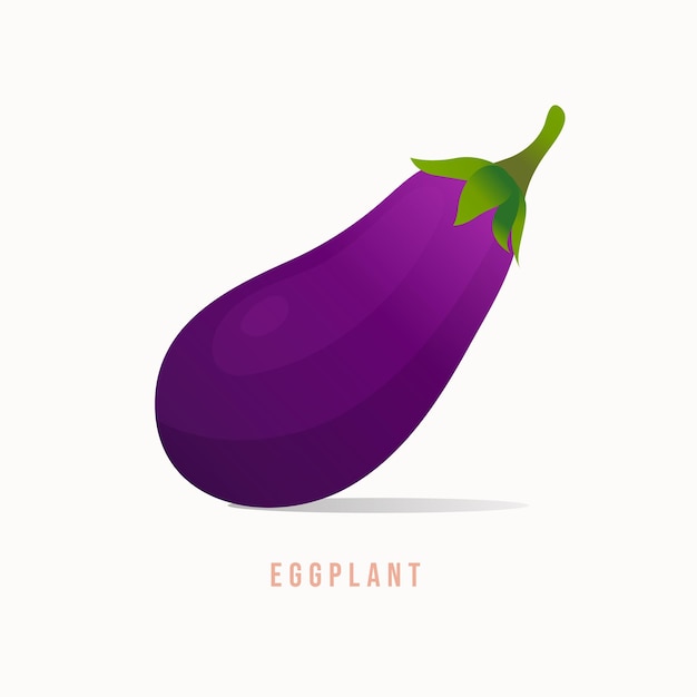 Vector eggplant modern style vector illustration