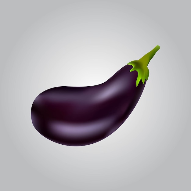 Eggplant realistic image vector illustration