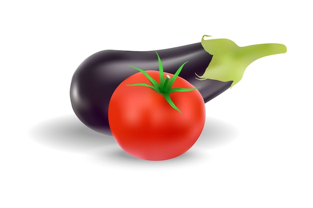 Eggplant And Tomato Vector 