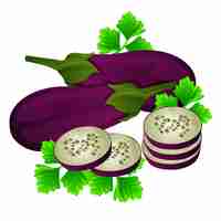 Vector eggplant