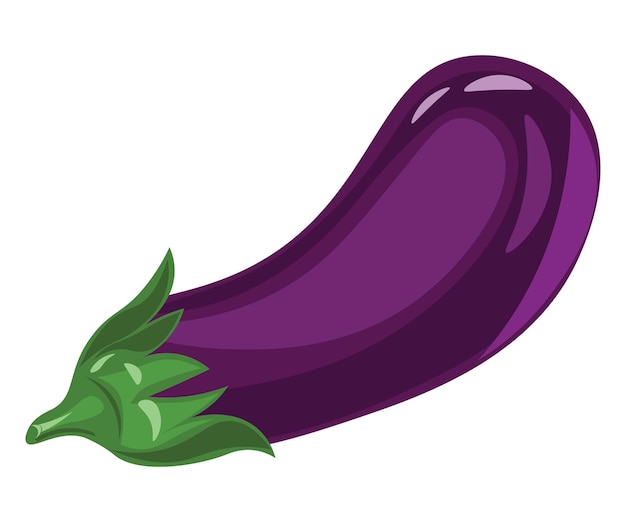 Vector eggplant