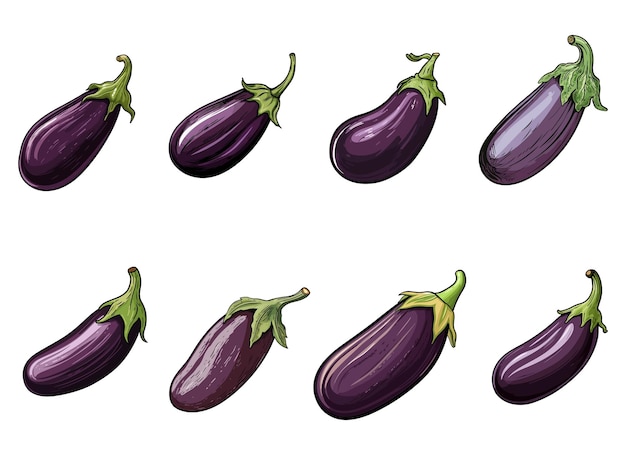 Vector eggplant