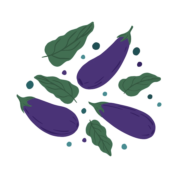 Vector eggplants and leaves. hand draw vegetable print.