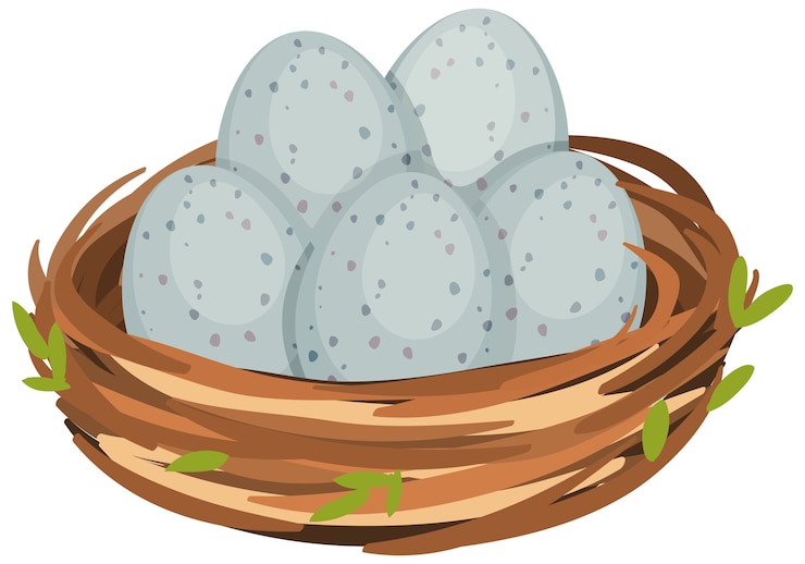 Vector eggs in the bird nest isolated