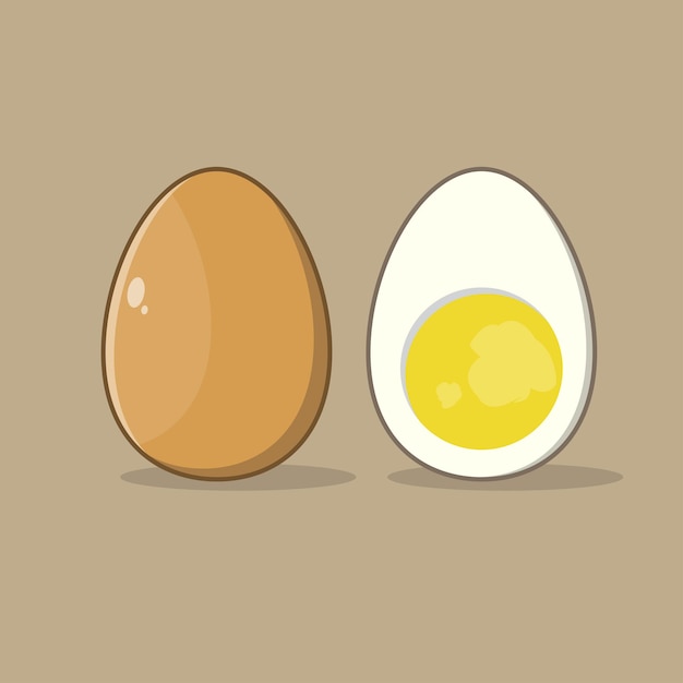 Vector eggs illustartion boiled eggs with yolk illustration design vector illustration of chicken eggs