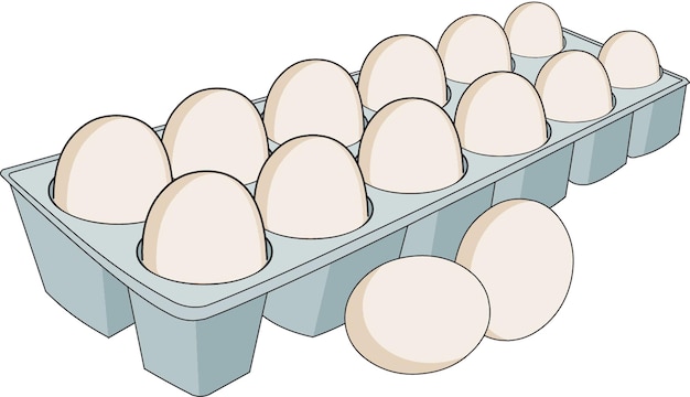 Eggs placed in a tray