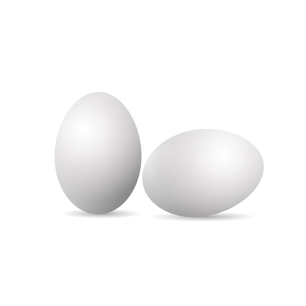 Eggs on a white background. Vector illustration