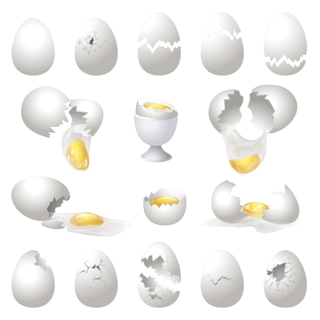 Vector eggshell icons set cartoon vector. broken egg