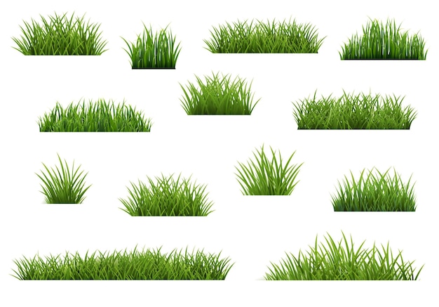 eGreenGrassBordersSetIsolated_10_M_250120