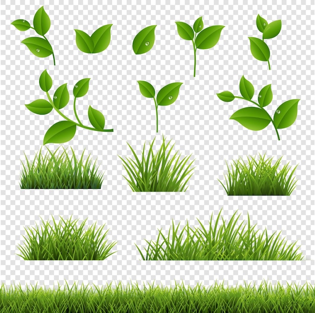 Egreenleavesandgrassborderisolatedtransparentbackground_10_m_230226