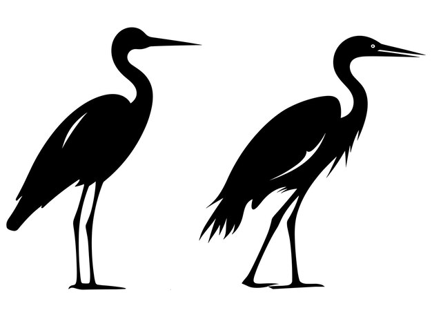 Vector egret black silhouette vector white background