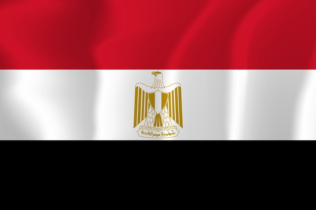 Egypt Waved Flag Vector Illustration Background