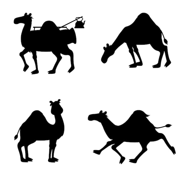 Silhouette vettoriali isolate cammello egiziano