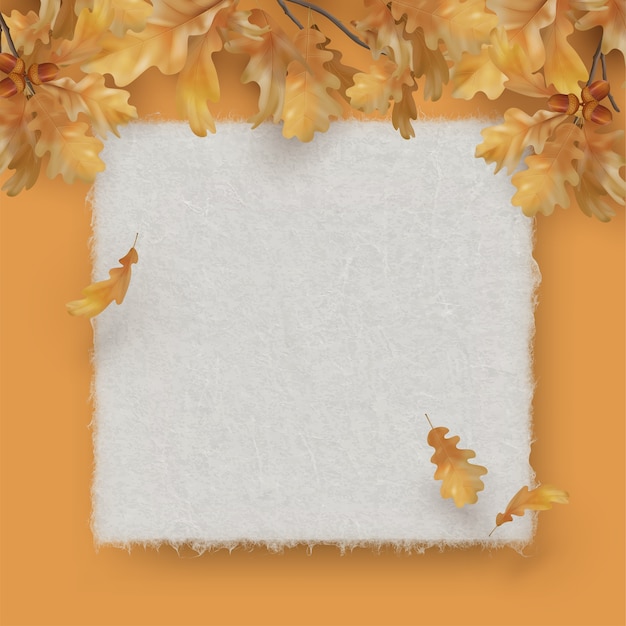 Eiken tak met bladeren blanco vel textuur papier. herfst