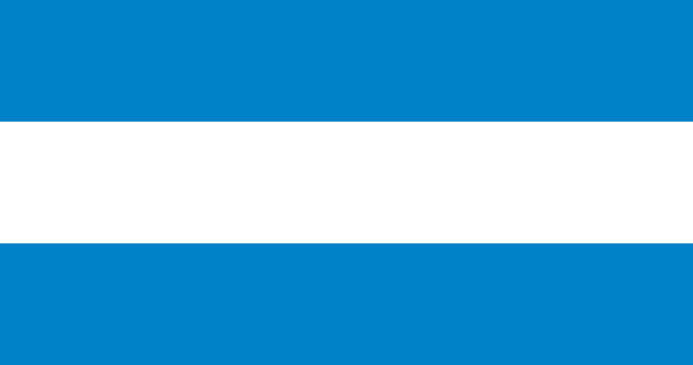 El Salvador flag in vector