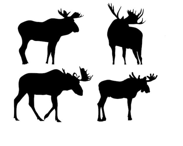 Vector eland silhouet