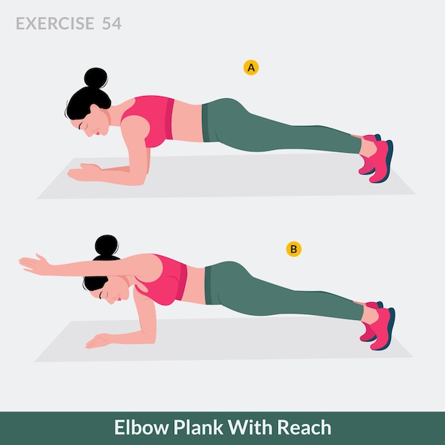 Elbow plank with reach exercise, woman workout fitness, aerobic and exercises.