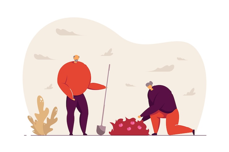 Vector elder couple doing gardening flat vector illustration. old man holding shovel, woman removing weeds near bush with flowers. gardener, retirement concept for banner, website design or landing web page