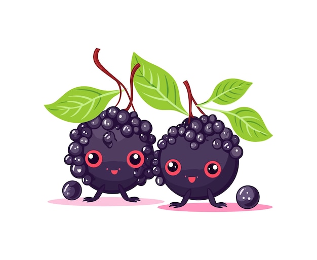 Elder fruit kawaii cartoon character vector Funny fruit kawaii illustration