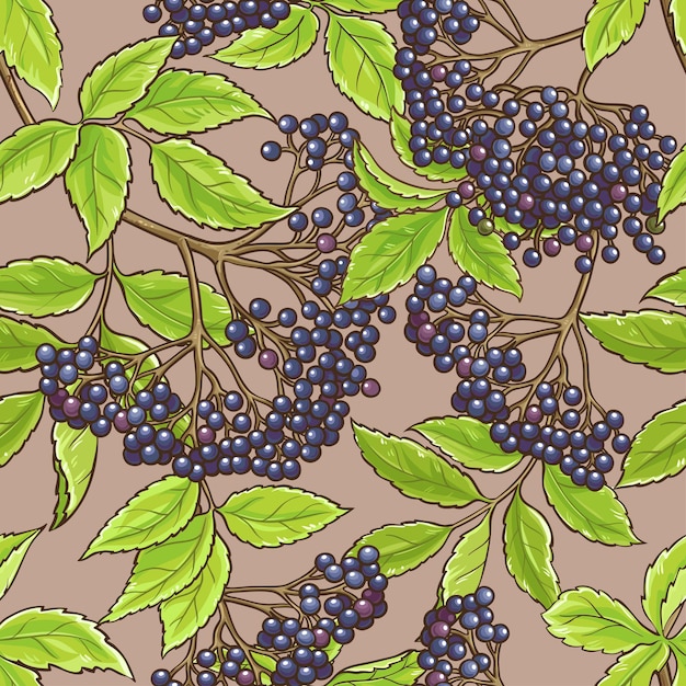 Elderberry seamless pattern