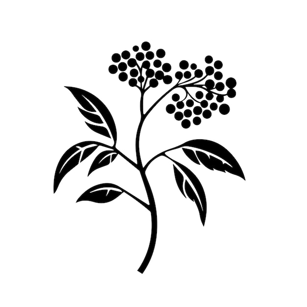 elderberry zwart-wit vector sjabloon set voor snijden en drukken