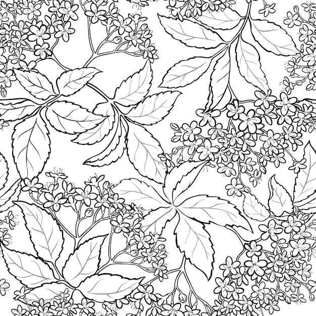 Elderflower seamless pattern