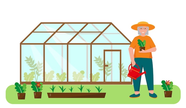 Vector elderly woman with plants and watering can near greenhouse in the garden gardening concept design