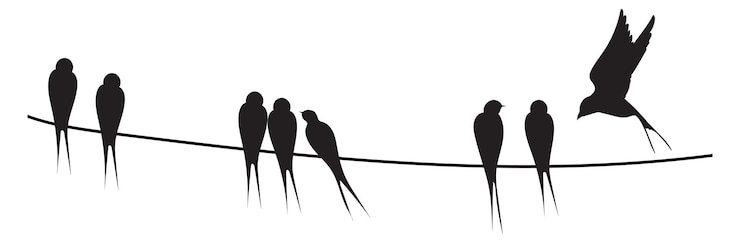 Vector electric wire with sitting bird silhouettes black wild fauna