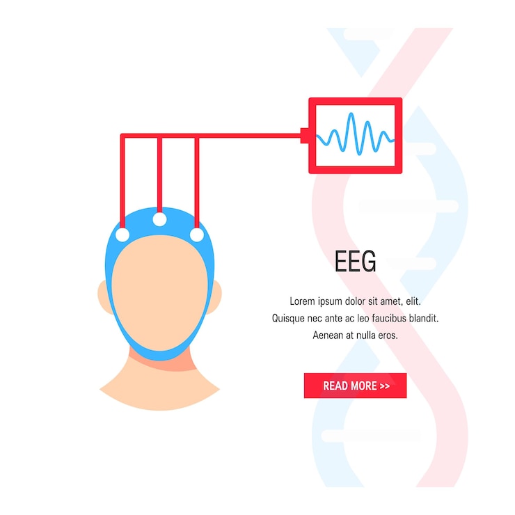 Vector electroencephalography concept brain wave measurement