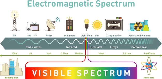 Vector electromagnetic spectrum infographic diagram