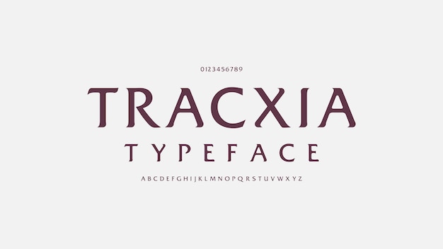 Элегантный алфавитный шрифт и число классическая и минималистическая типография модный дизайн