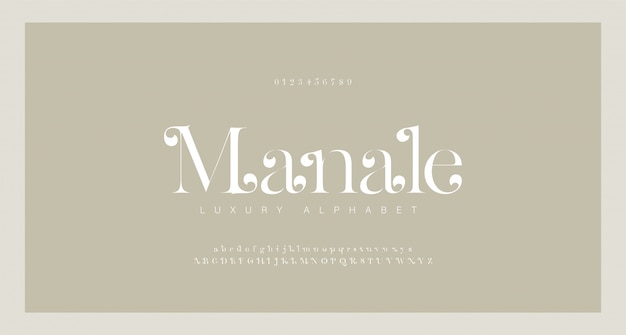 Elegant alfabet letters serif lettertype en nummer