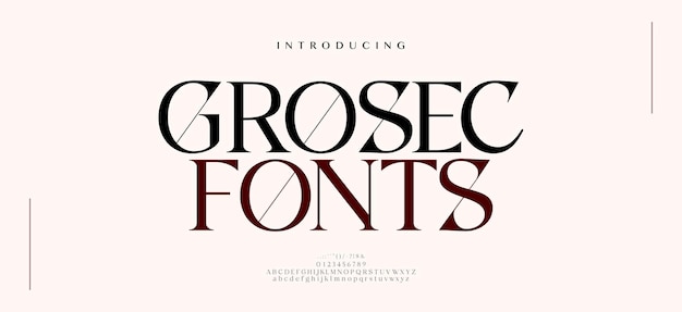 Elegant alphabet letters font Classic Modern Serif Minimal Logo Typography decoration fonts